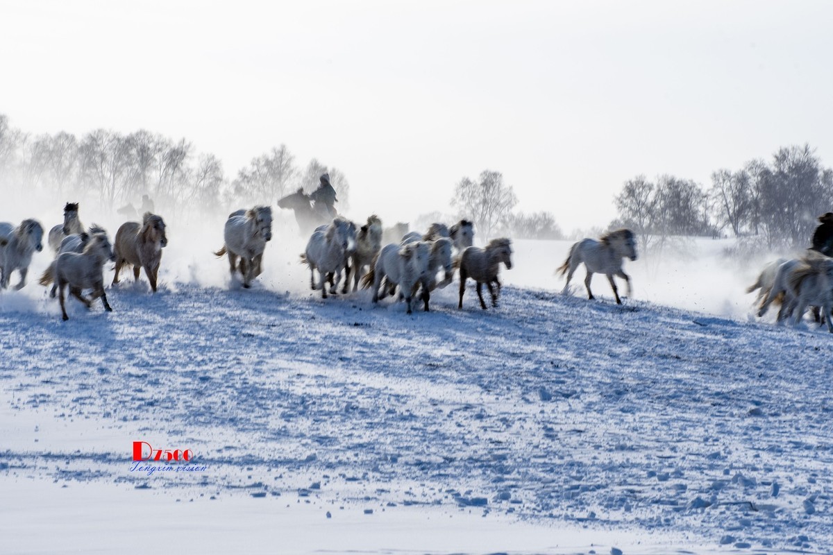 策马奔腾（77）