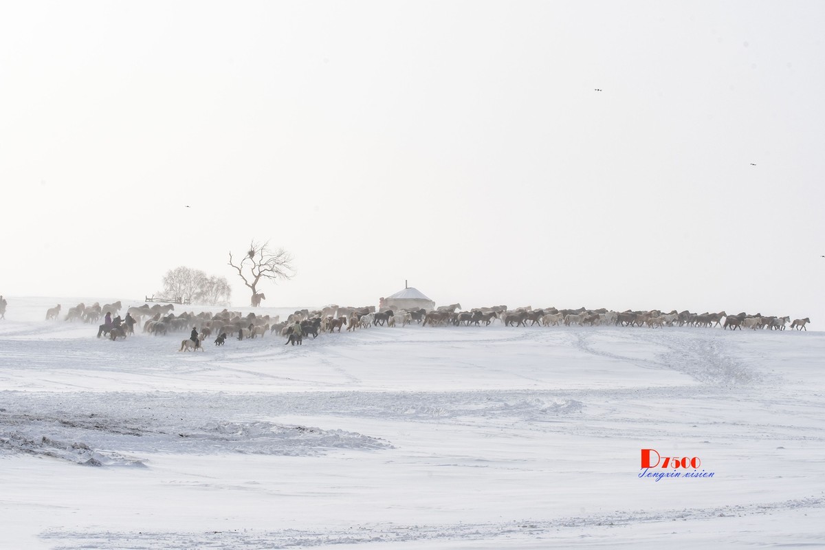 策马奔腾（77）