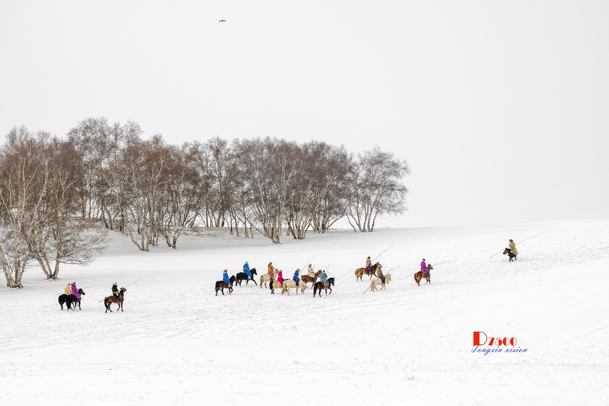 策马奔腾（77）