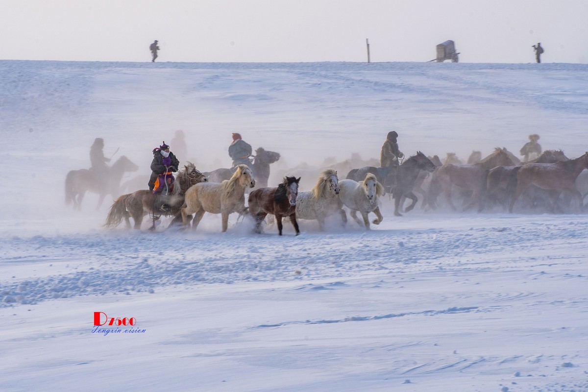 策马奔腾（77）