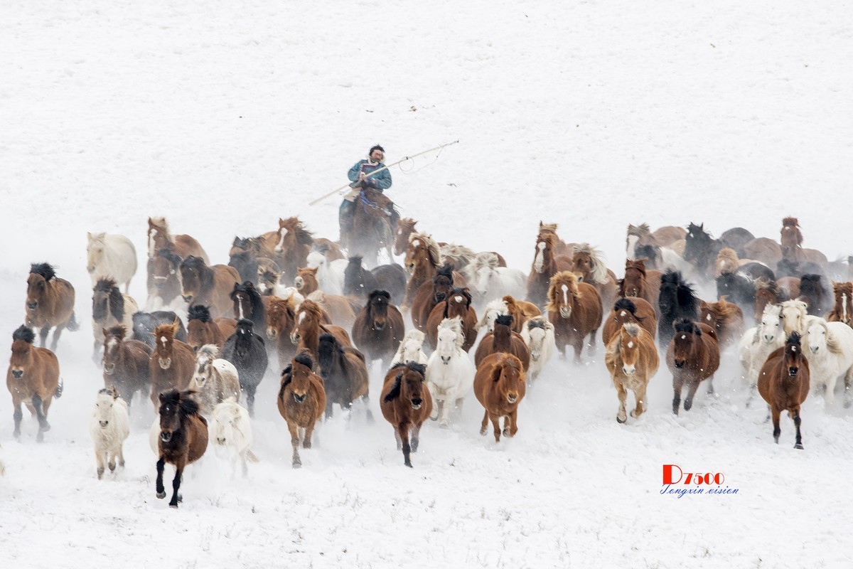 策马奔腾（77）