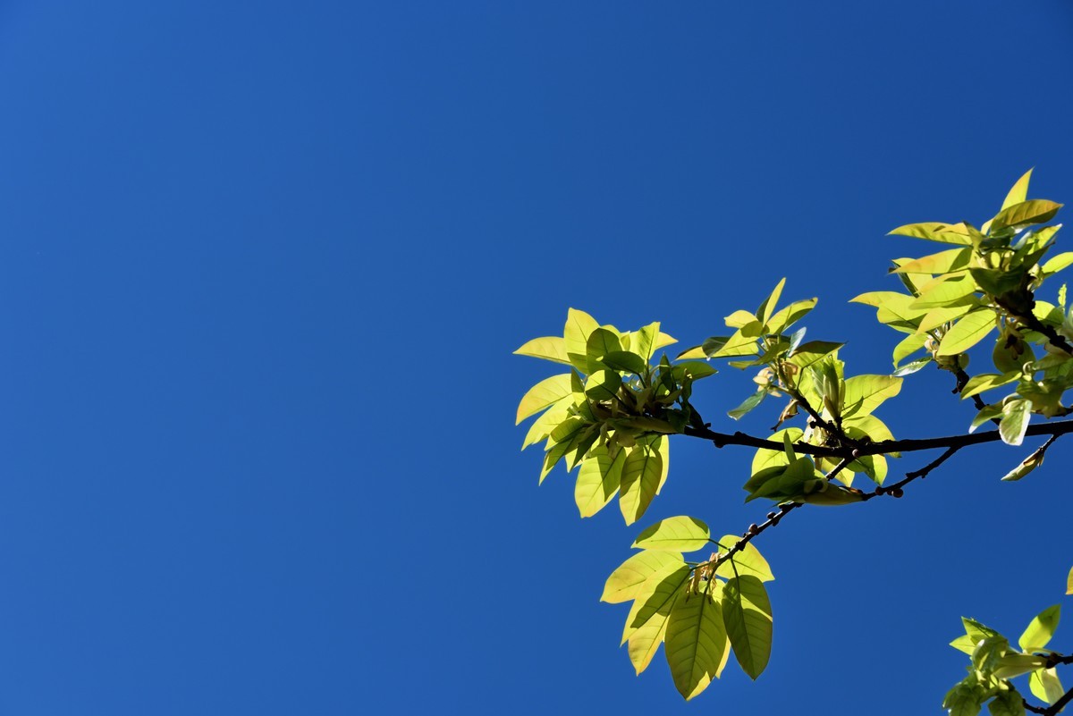 邛海湖畔【15】