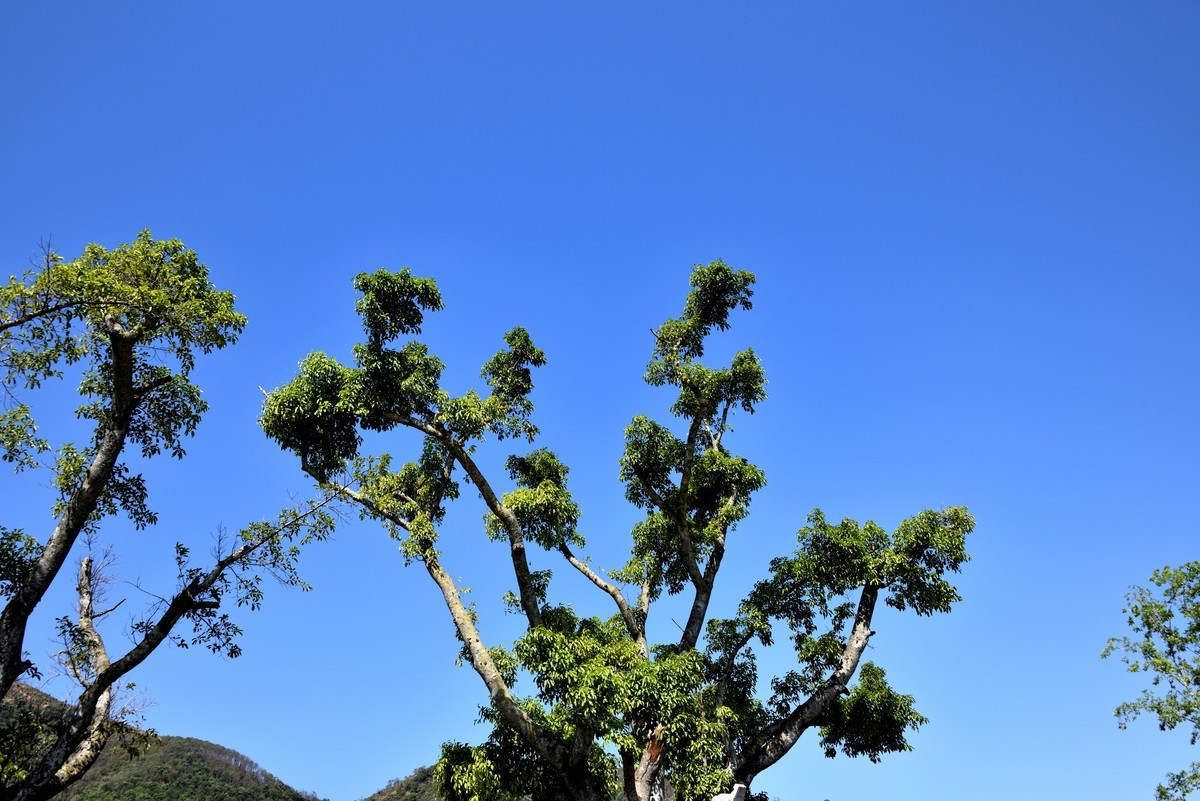 邛海湖畔【15】