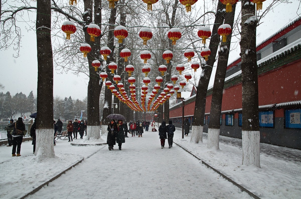 天公再降鹅毛雪  太后重游自家园