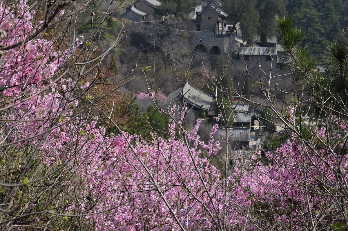 刚学摄影拍的照片