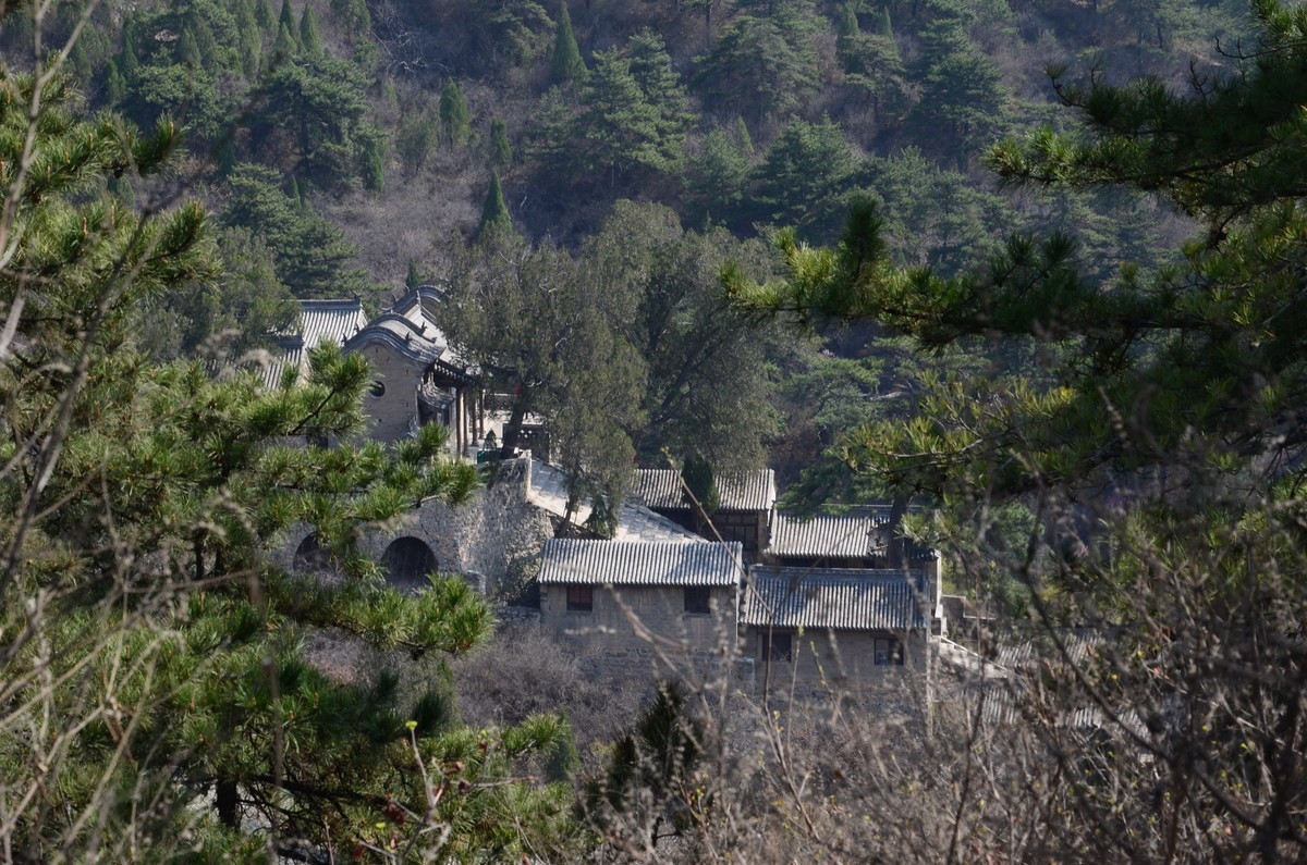 刚学摄影拍的照片