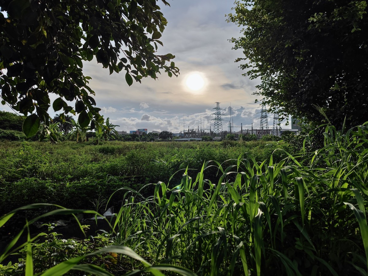 小米11U手机拍摄的点点滴滴