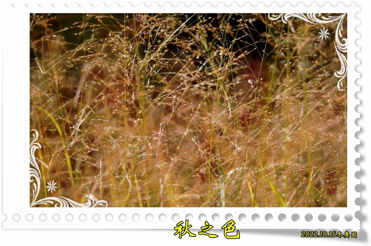 秋.....遐思