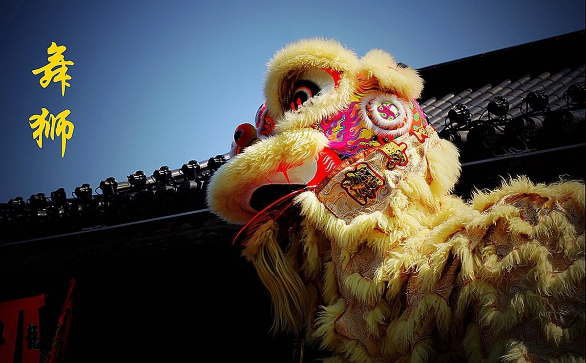 #2023不一样的春节#---舞狮