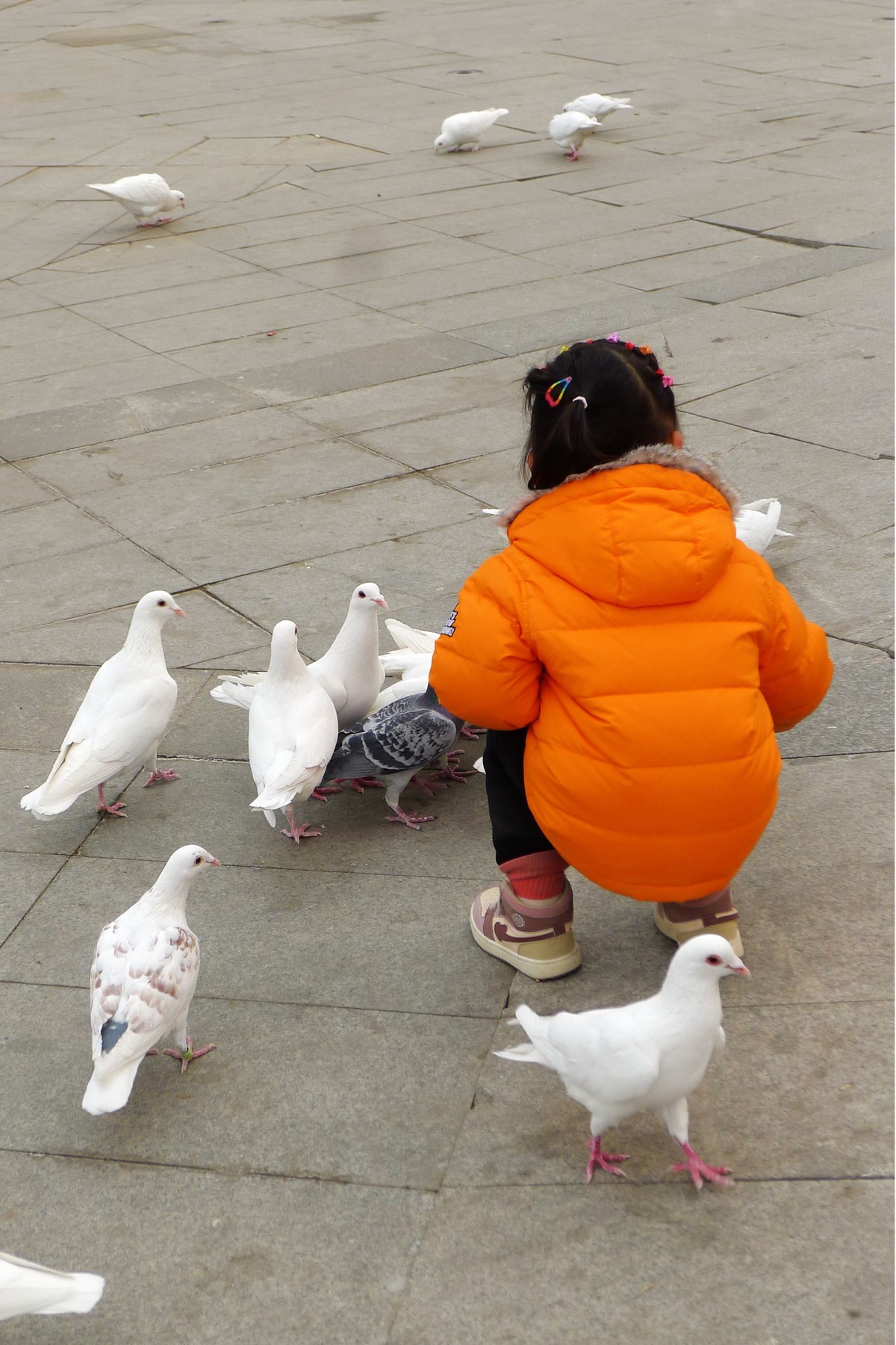 重度污染雾霾天，污染指数278