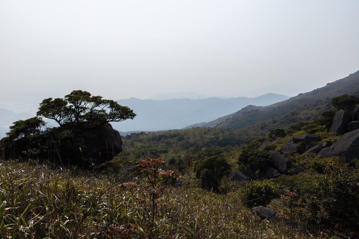 CANON RP山系玩乐篇