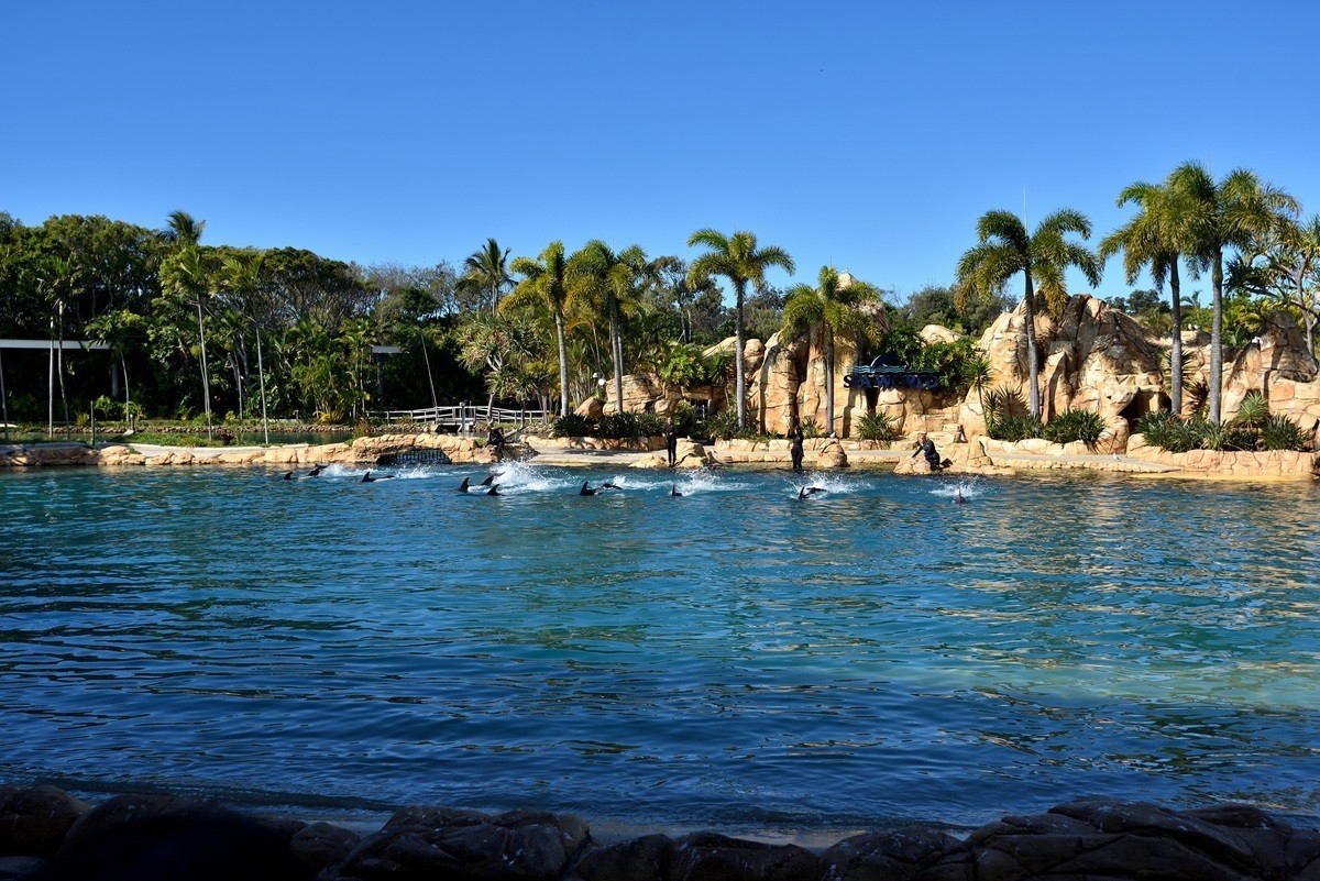 澳大利亚的黄金海岸 4/6