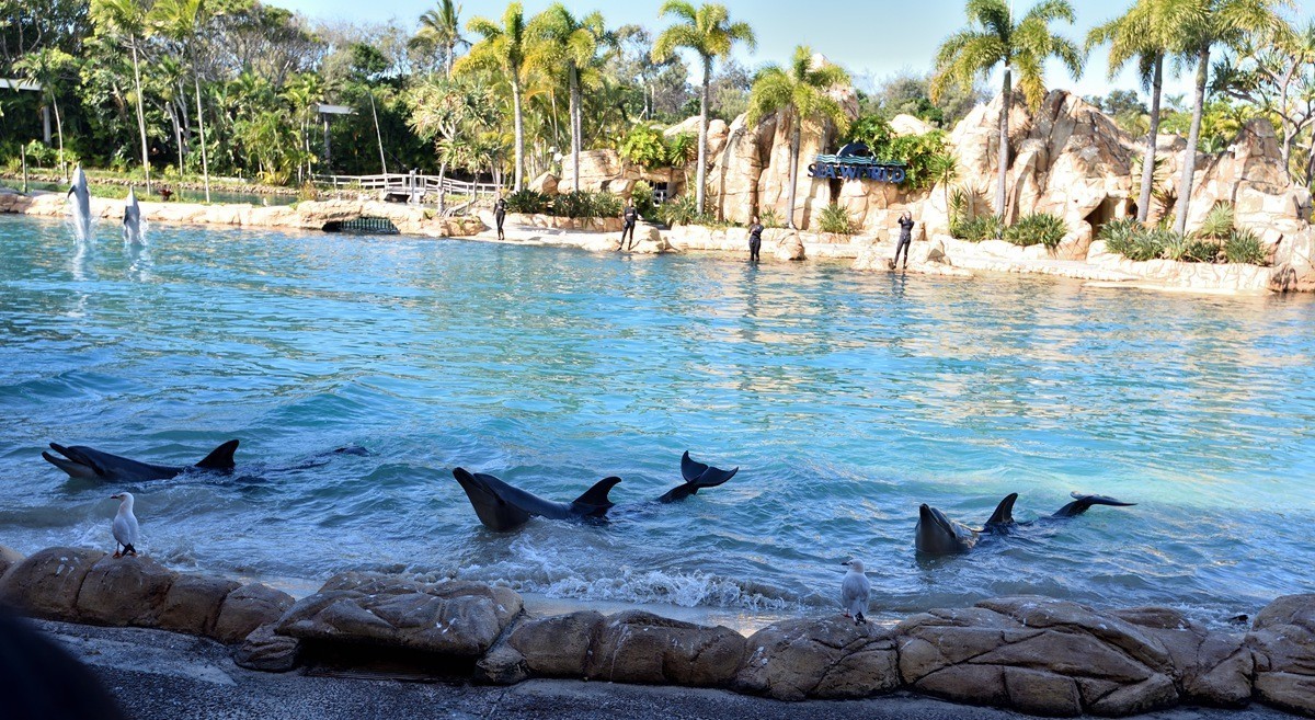 澳大利亚的黄金海岸 4/6