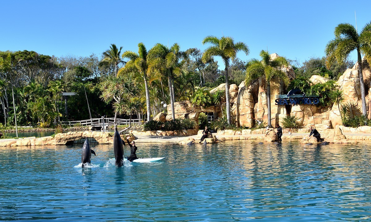 澳大利亚的黄金海岸 4/6