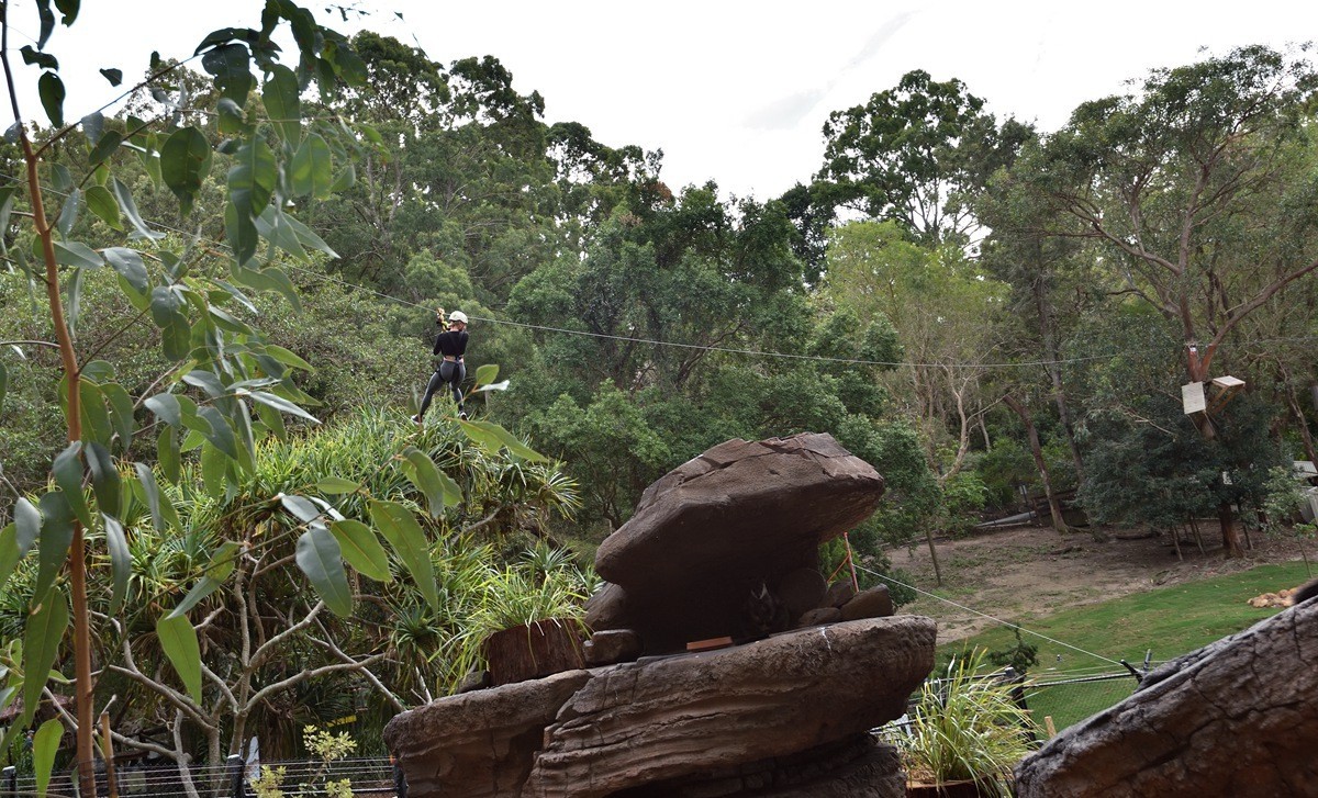 澳大利亚的黄金海岸 4/6