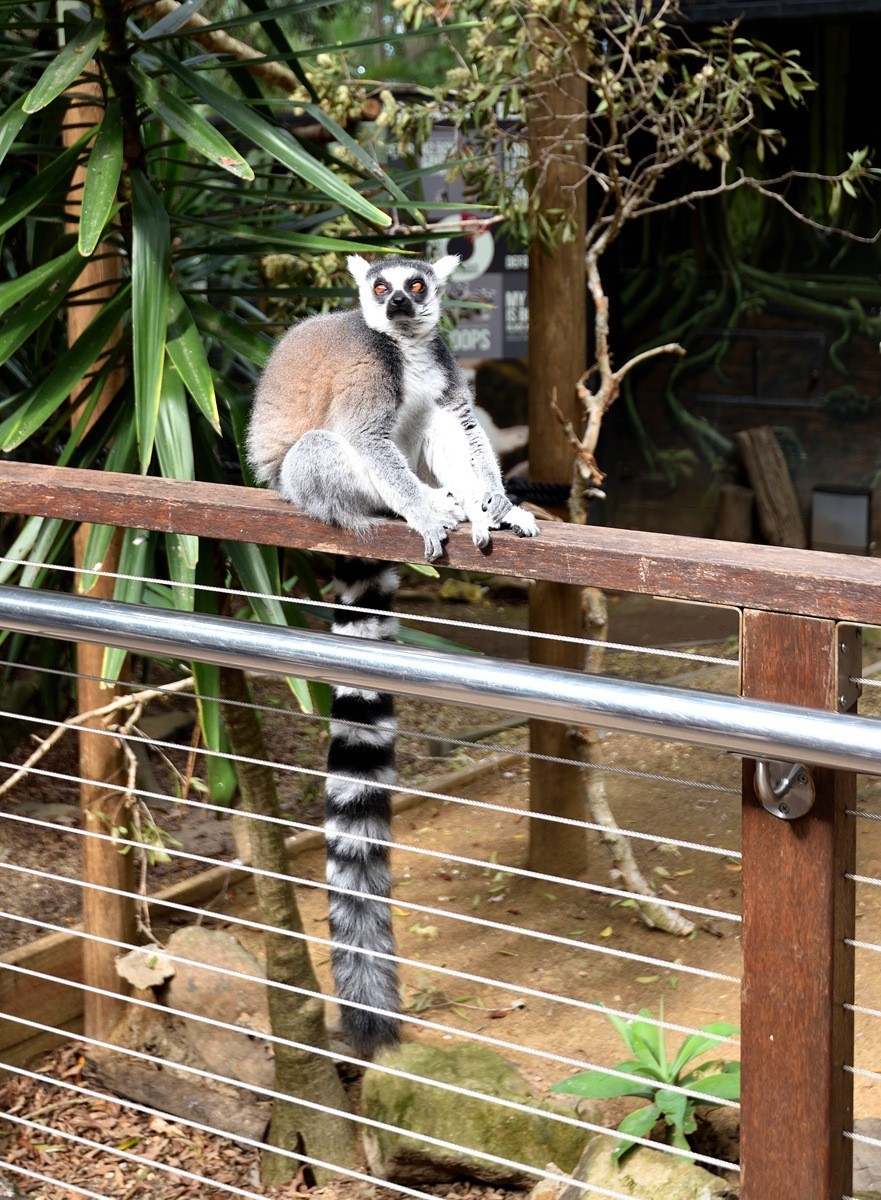澳大利亚的黄金海岸 4/6