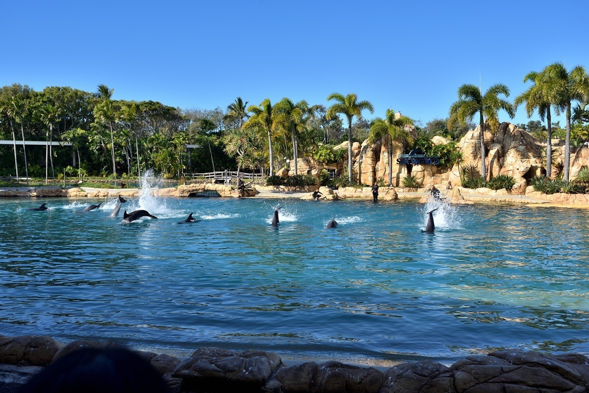 澳大利亚的黄金海岸   5/6