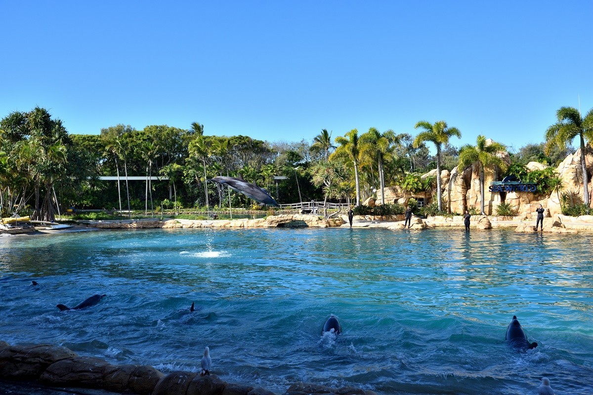 澳大利亚的黄金海岸   5/6