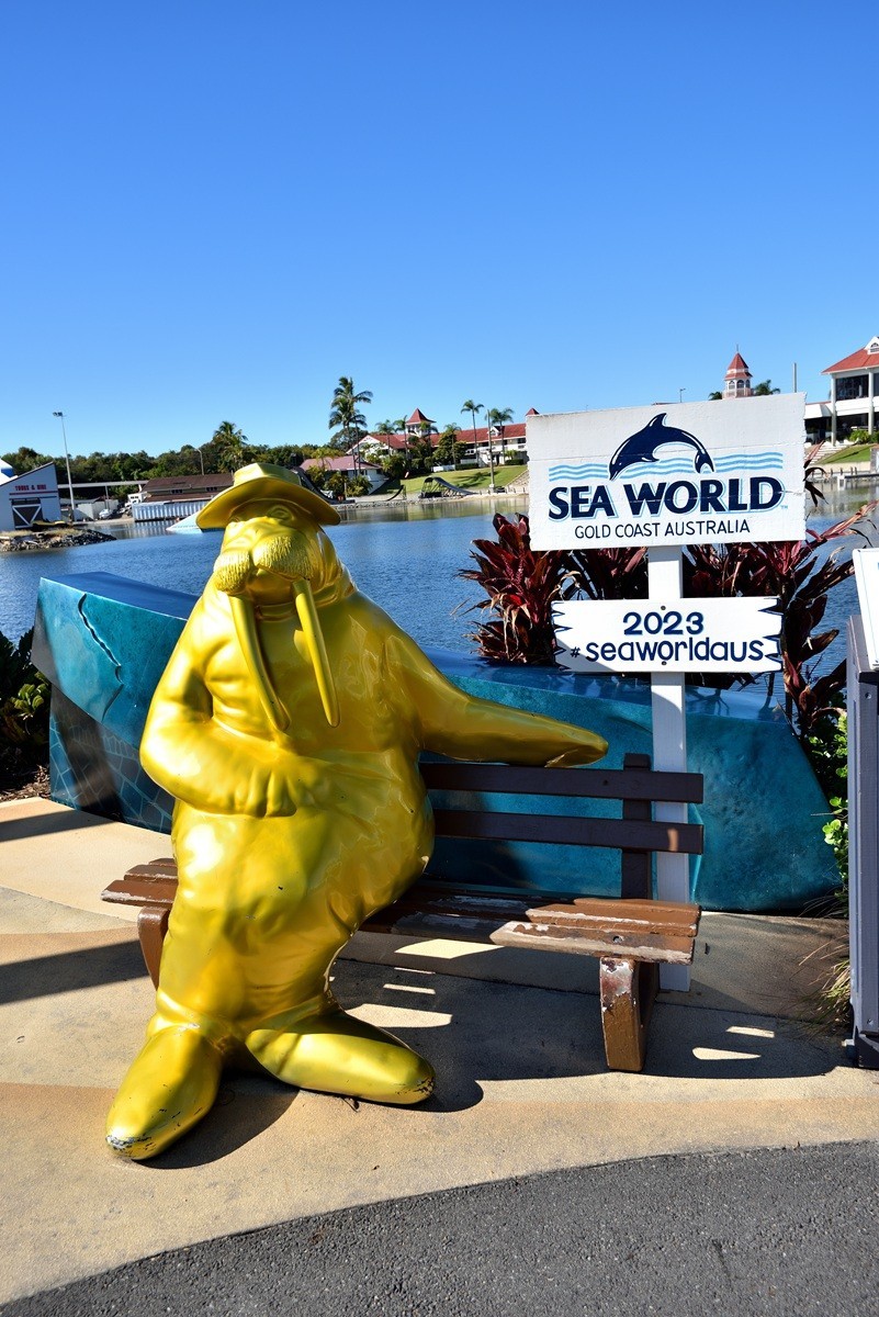 澳大利亚的黄金海岸   6/6