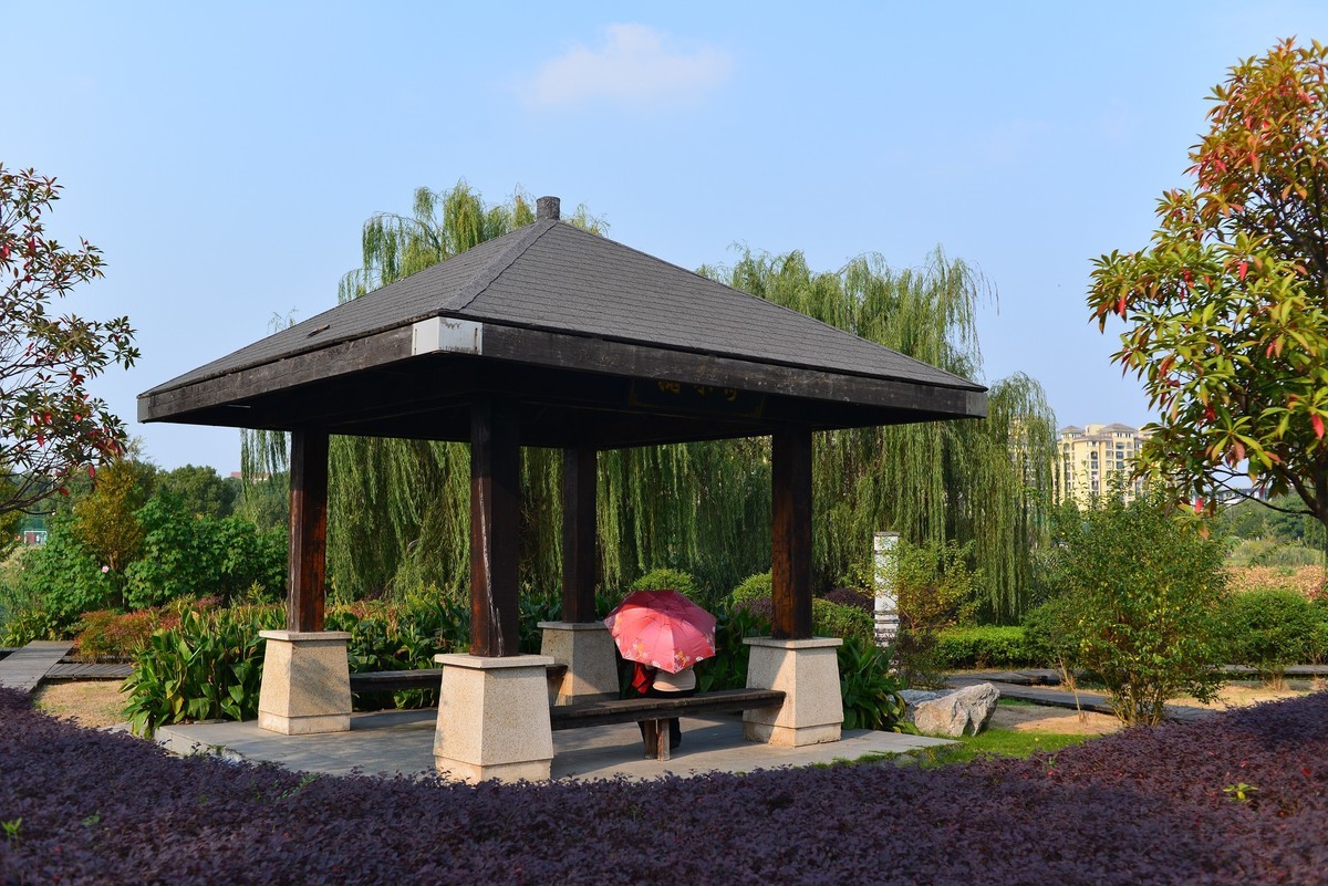 秋游湿地大阳垾公园