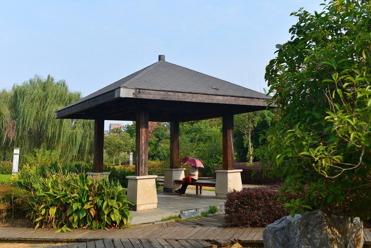 秋游湿地大阳垾公园