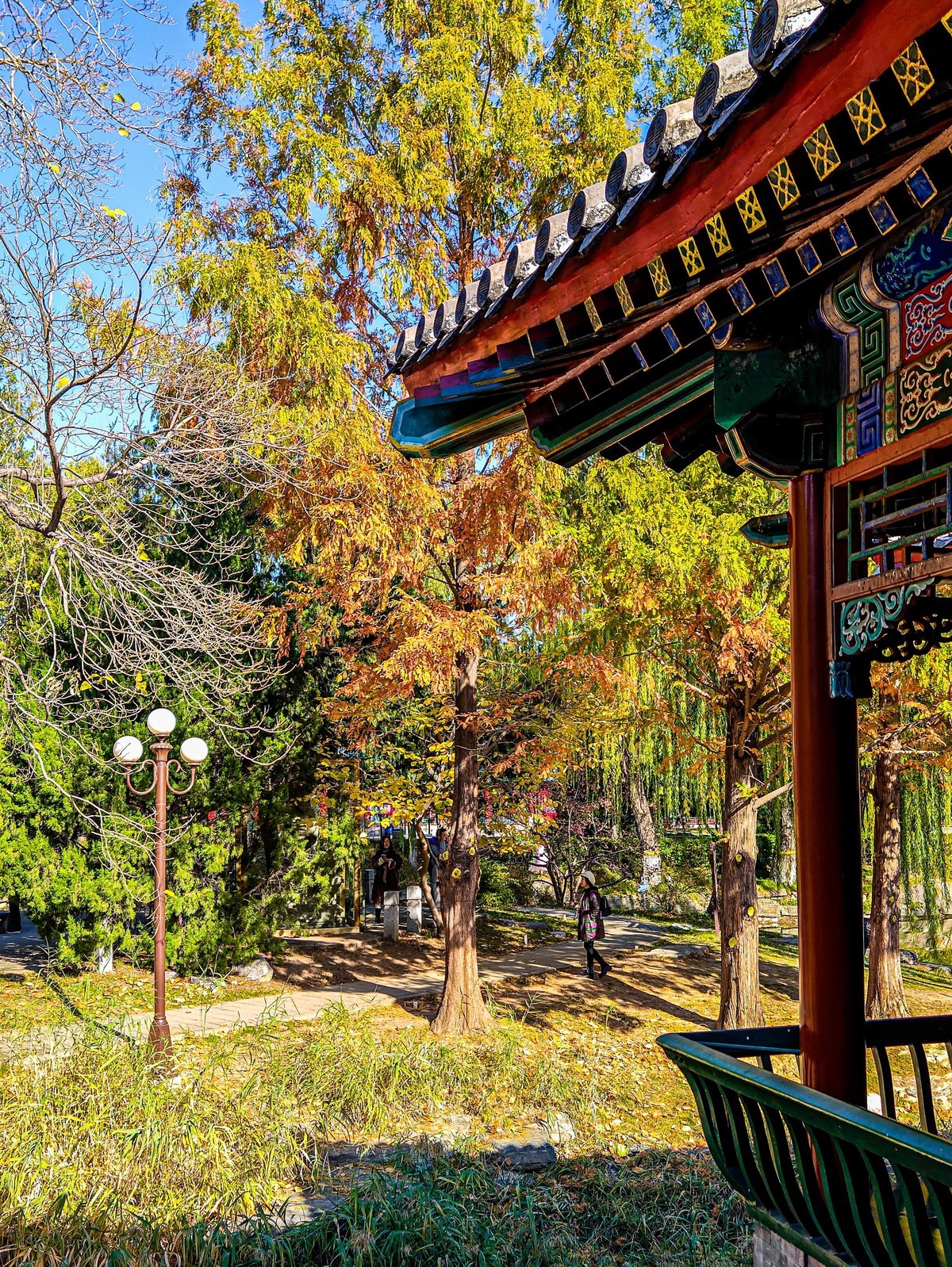 手机游拍20241105《27》