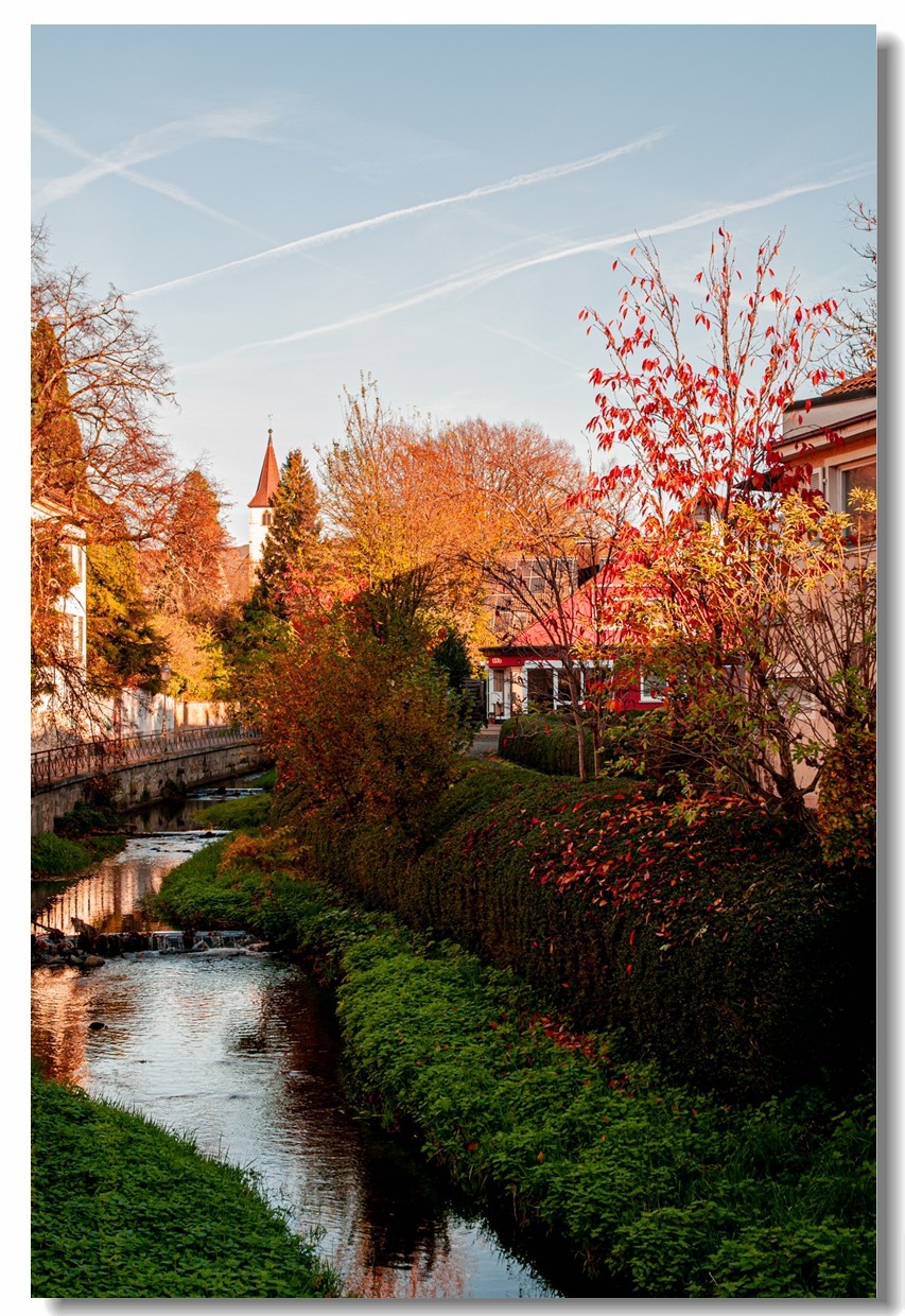 赤色深秋（南德）