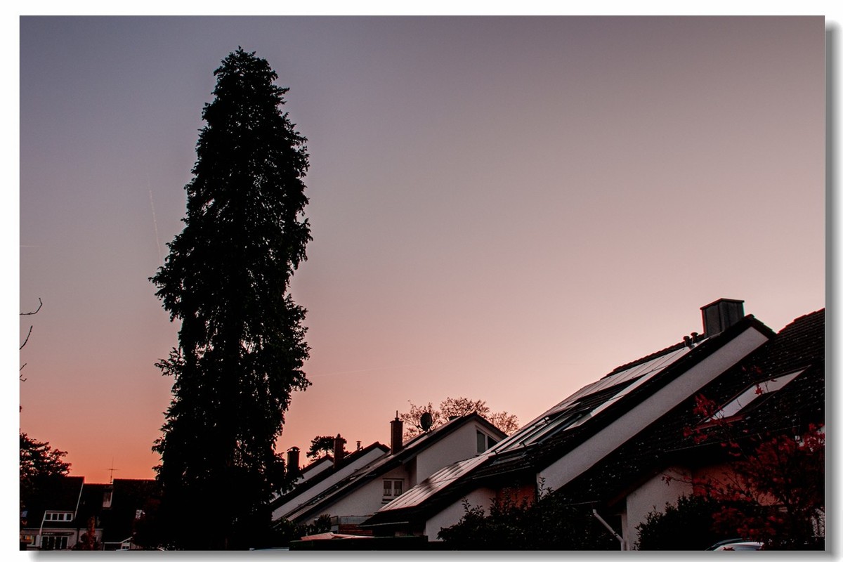 赤色深秋（南德）