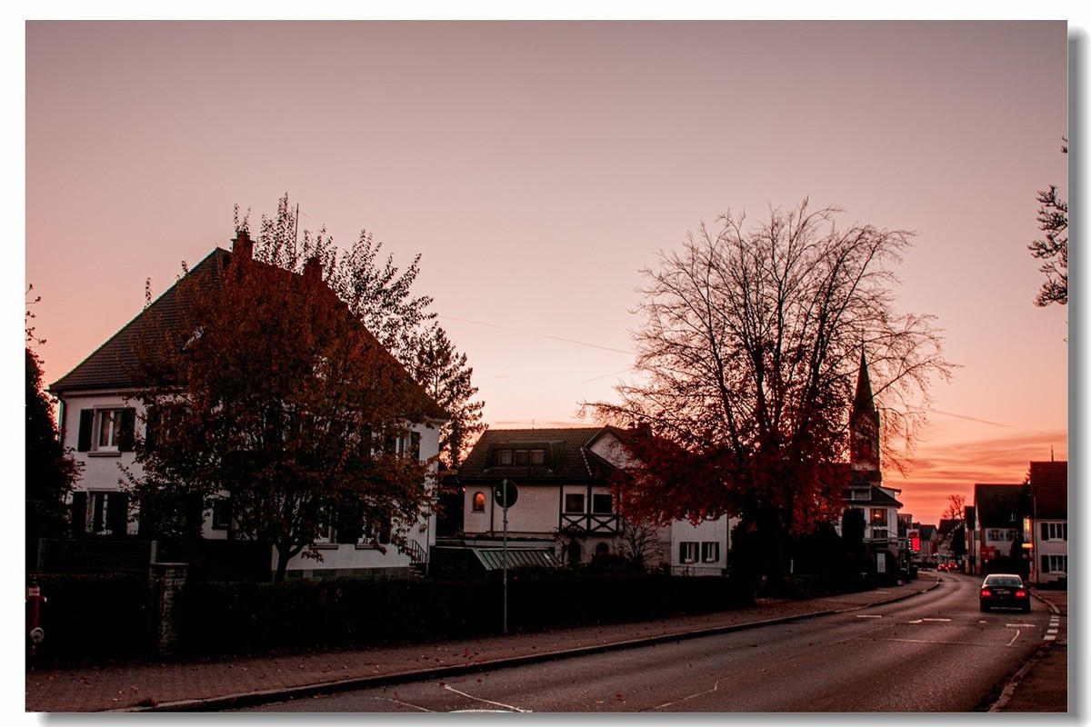 赤色深秋（南德）