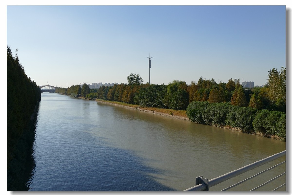 小区绿野（上海南翔）