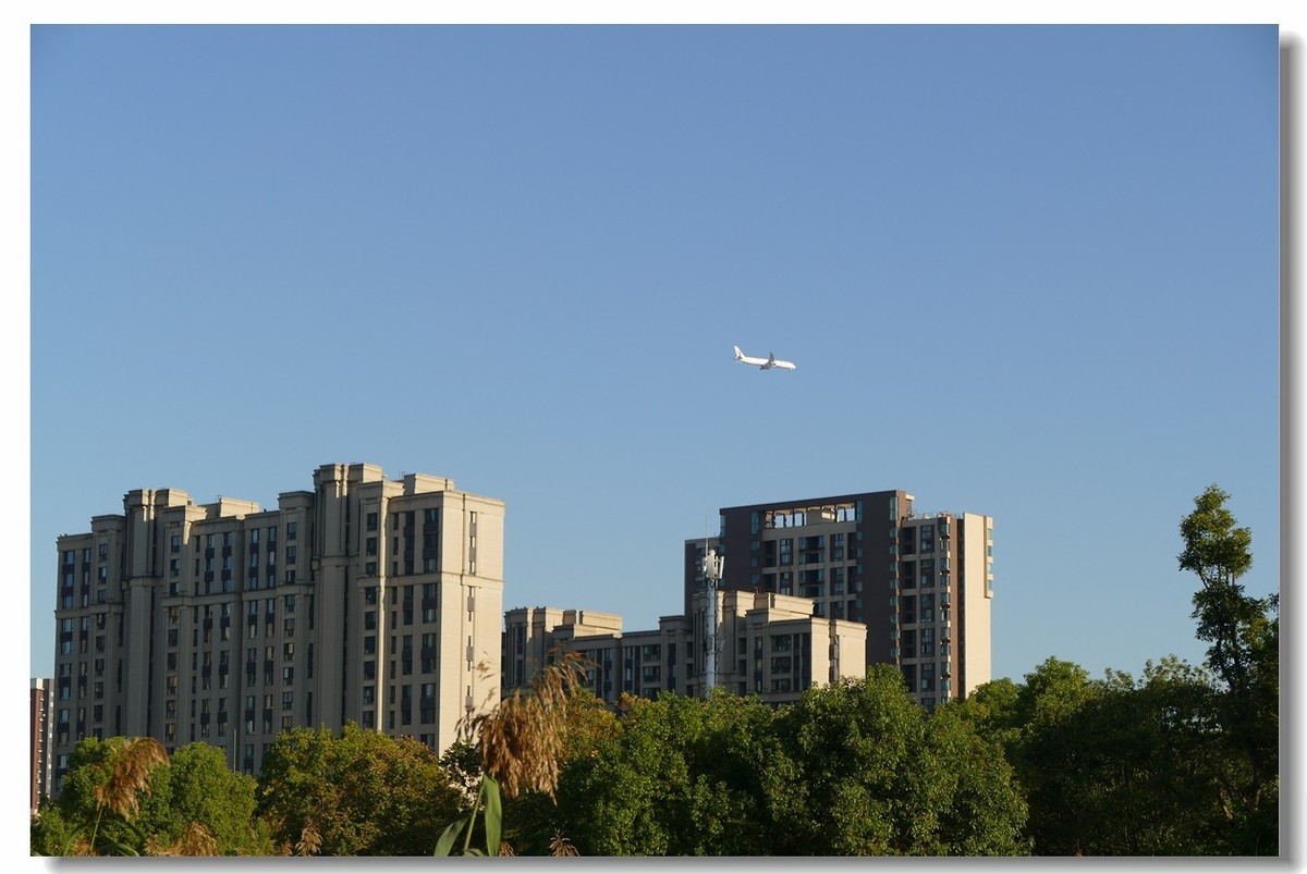 小区绿野（上海南翔）