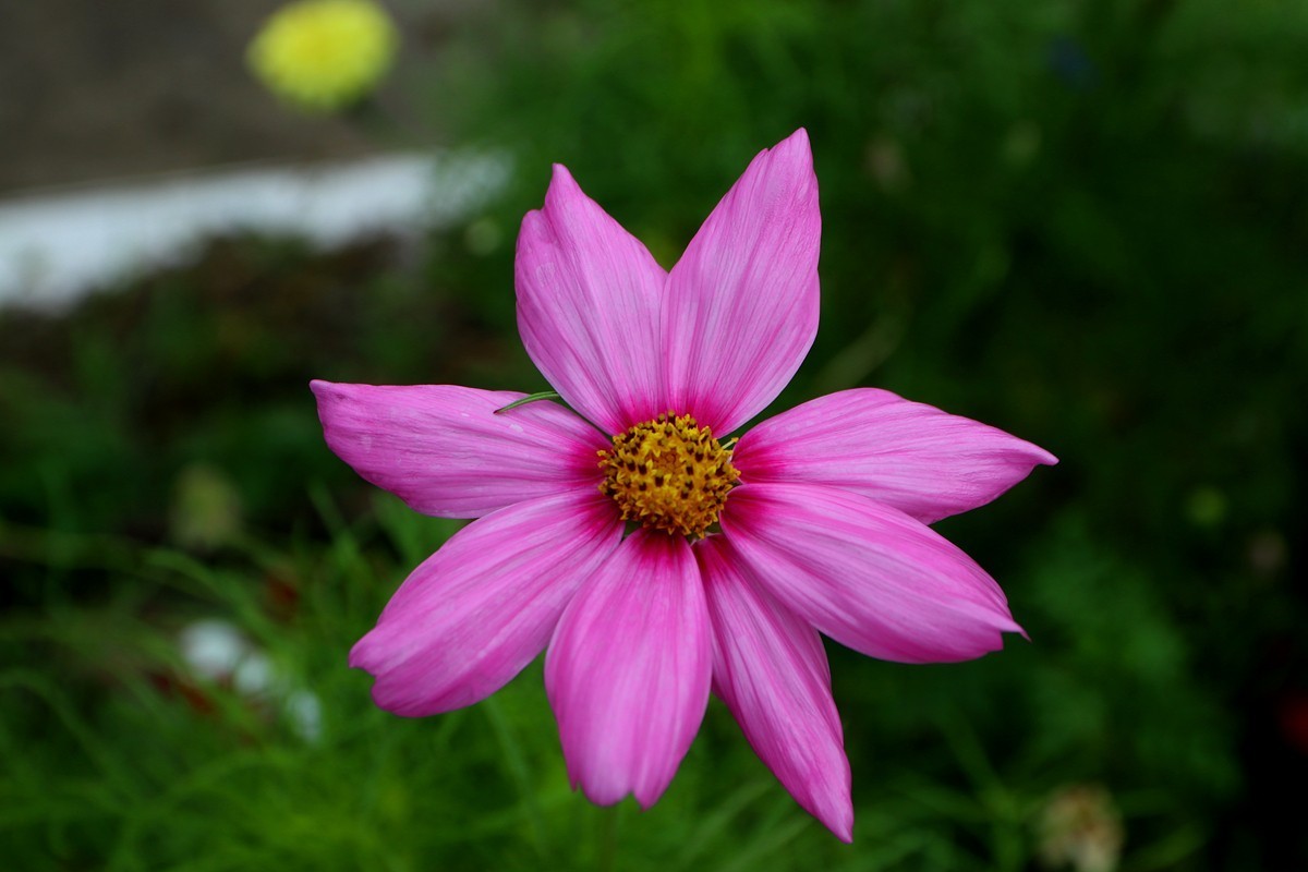 武隆赵家乡 避暑纳凉 （一）