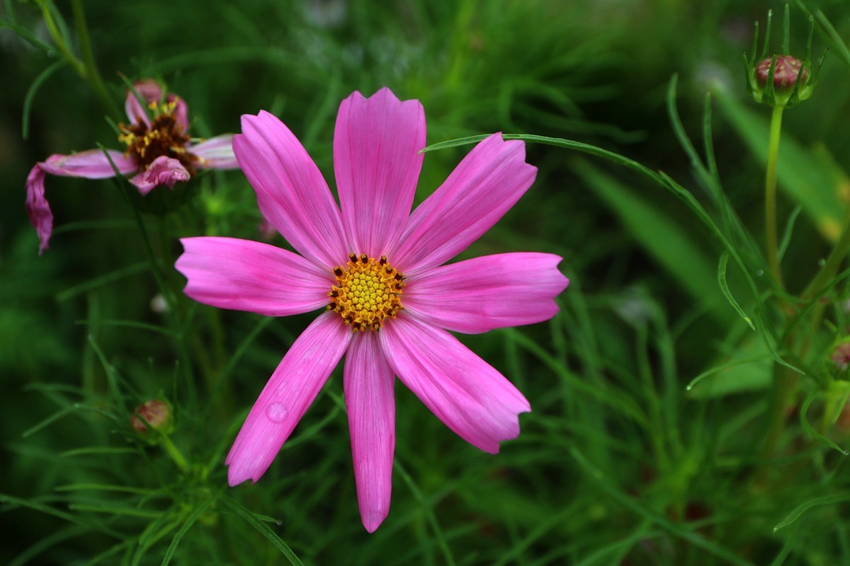 武隆赵家乡 避暑纳凉 （一）