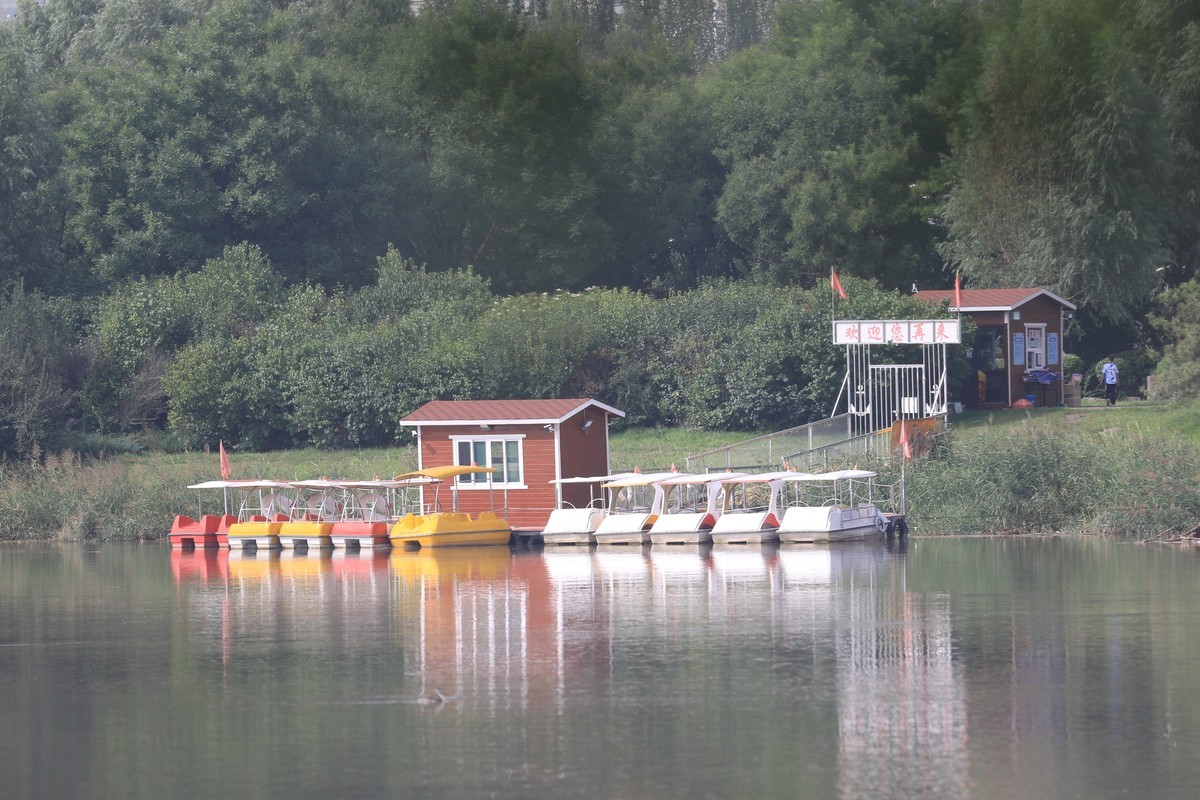 湿地公园散步随拍
