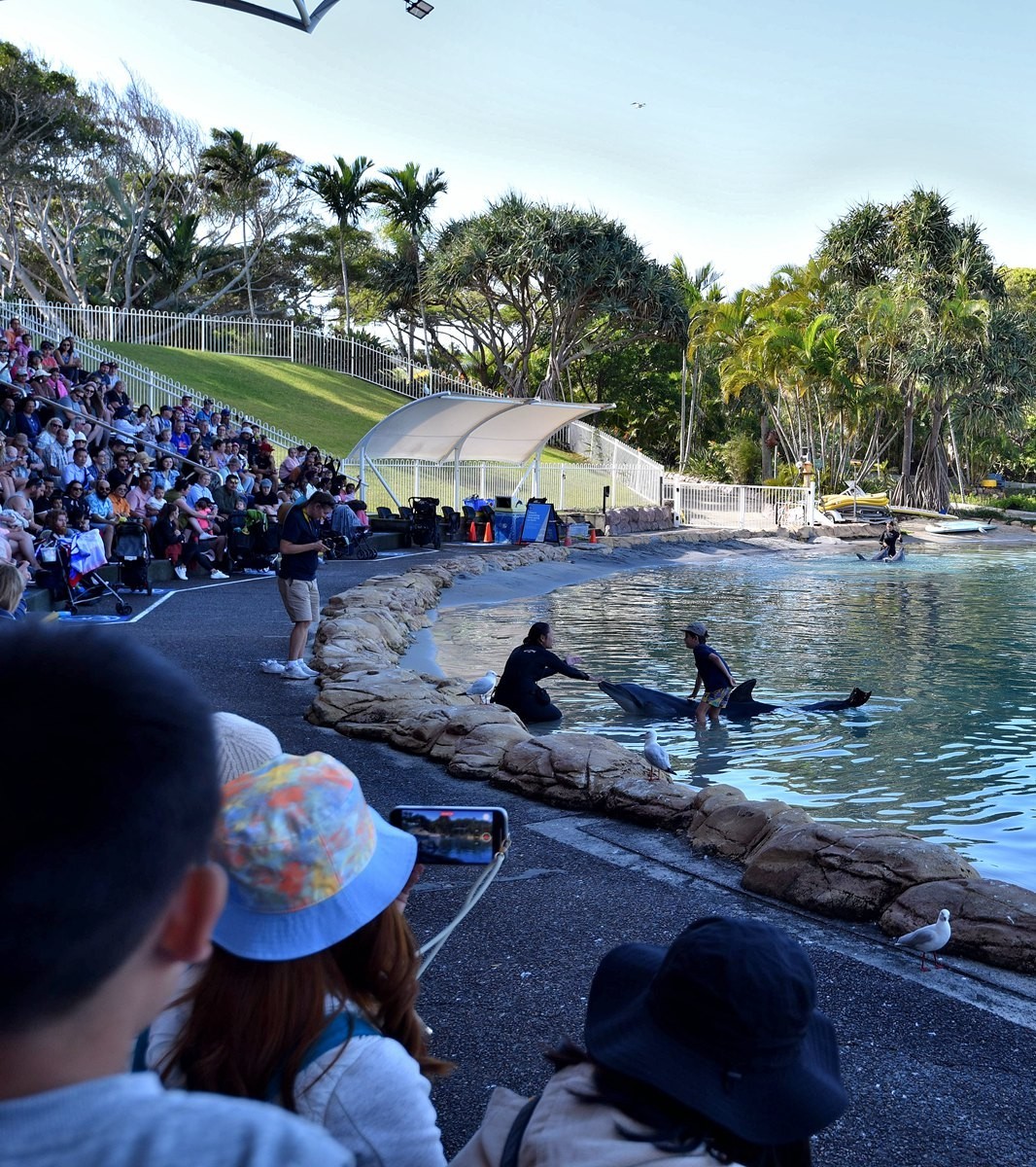 澳大利亚的黄金海岸   6/6
