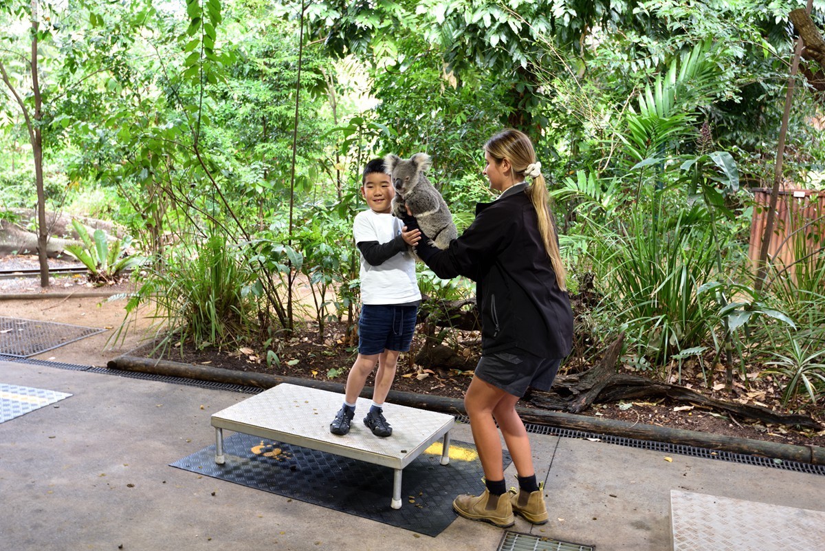 澳大利亚的黄金海岸   6/6