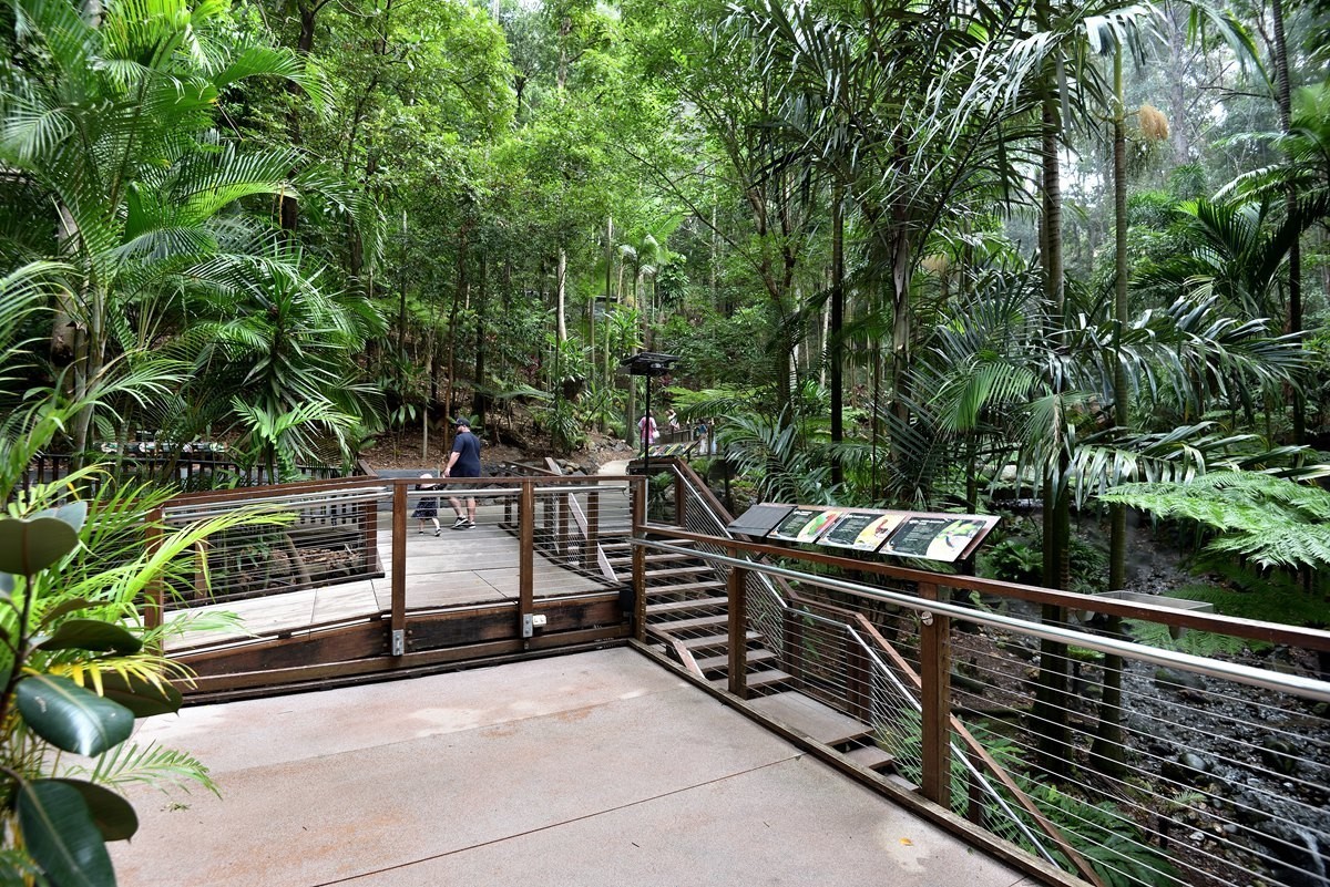 澳大利亚的黄金海岸   6/6