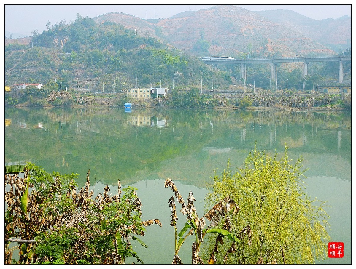 家乡的风景福建南平延平大洲岛风光下