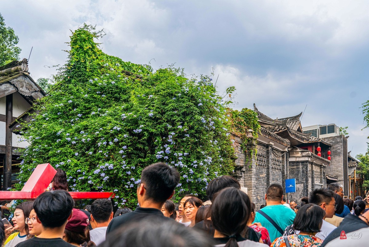 四川行（三）成都宽窄巷子