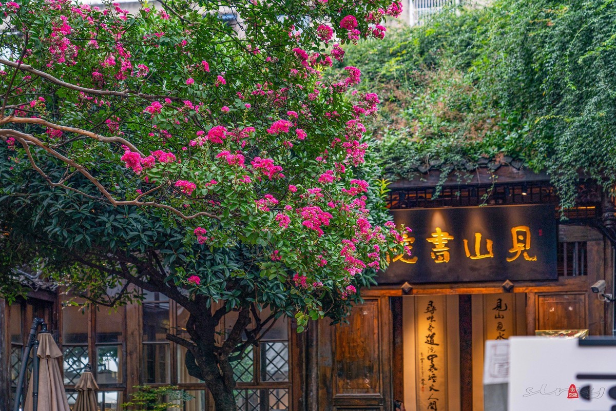 四川行（三）成都宽窄巷子