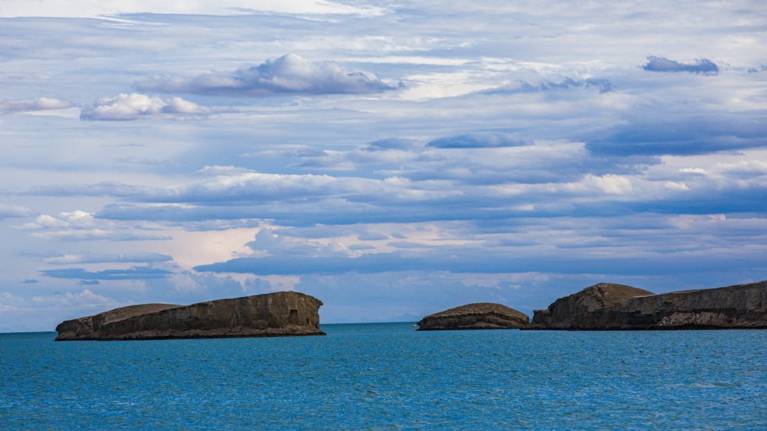 外出随拍（续185）.