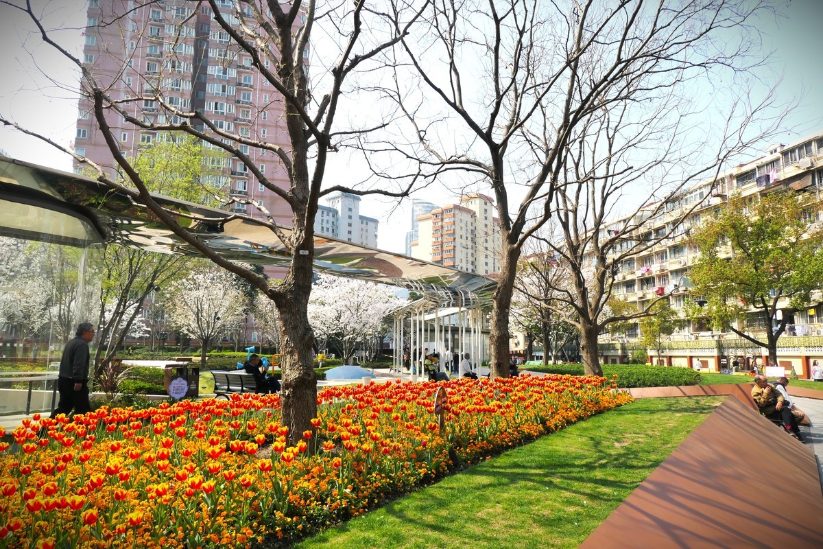 【乐山新春】——摄于上海乐山新村