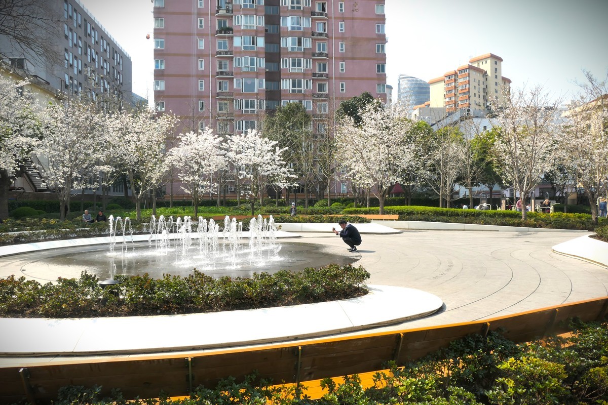 【乐山新春】——摄于上海乐山新村