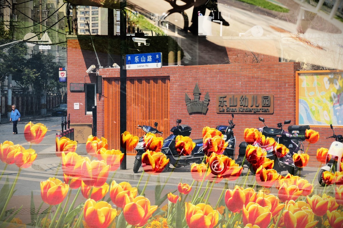 【乐山新春】——摄于上海乐山新村