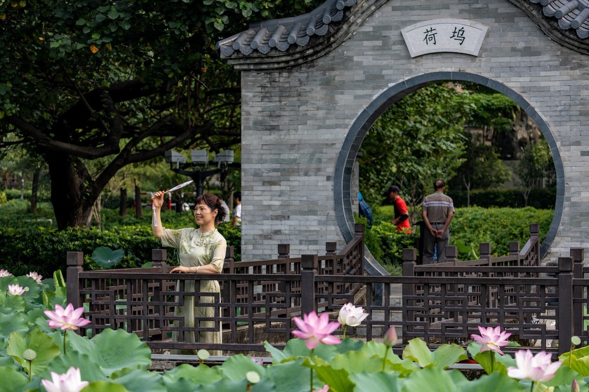 荷塘悦色（10）