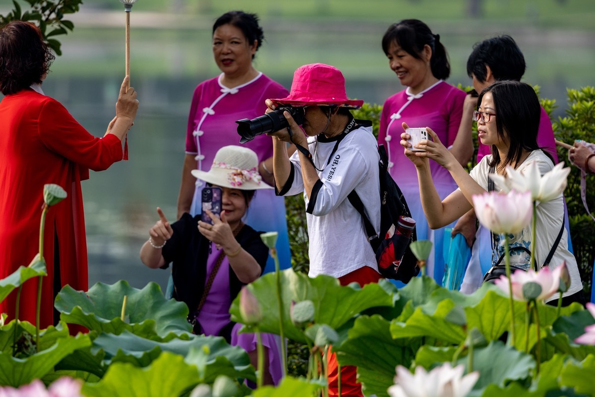 荷塘悦色（10）