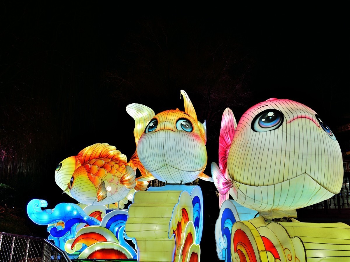 【视觉光影】泉 城 灯 会 （3）