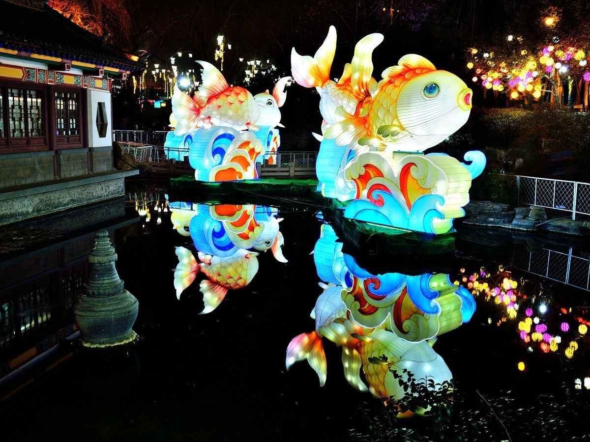 【视觉光影】泉 城 灯 会 （3）