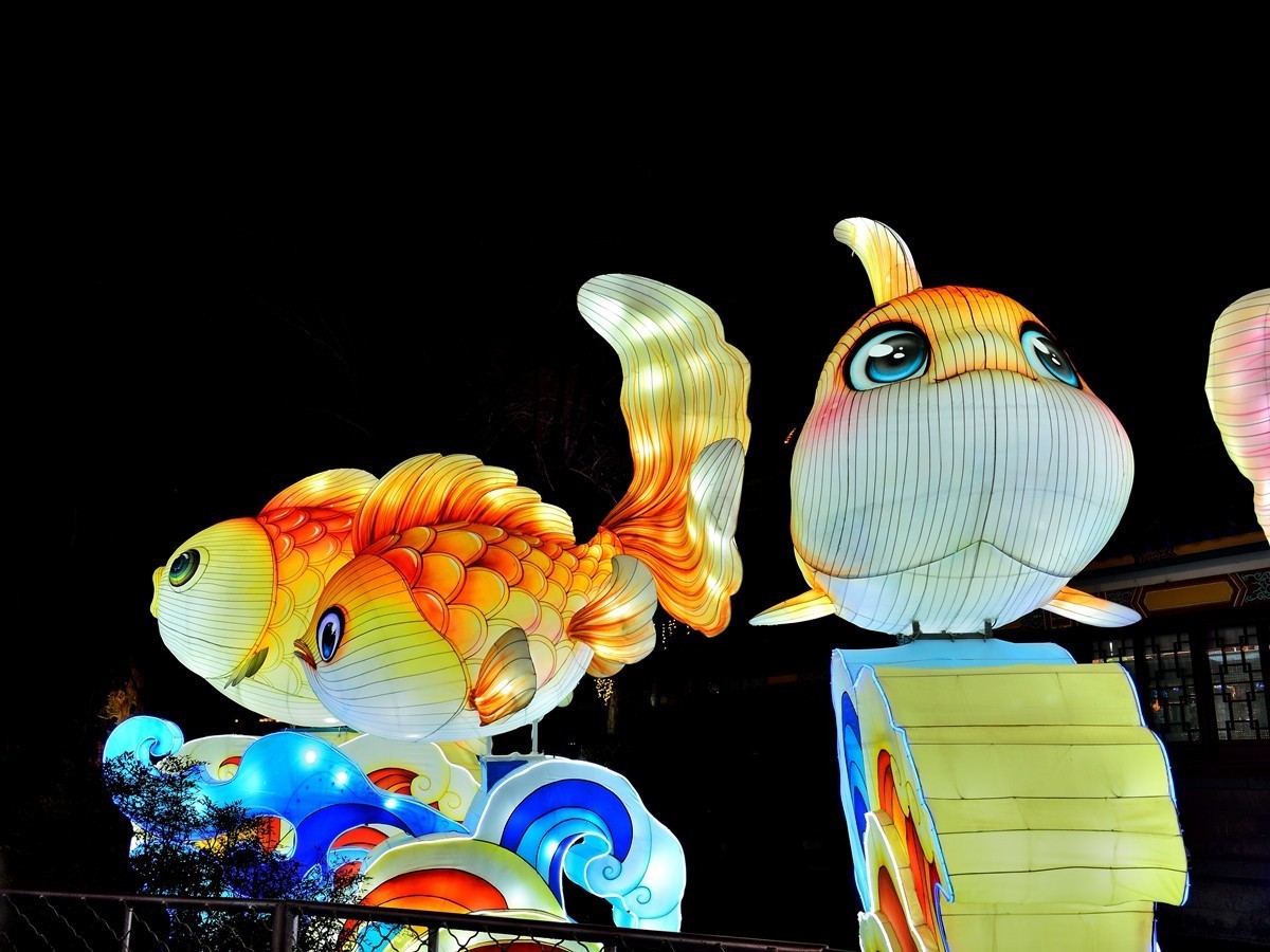 【视觉光影】泉 城 灯 会 （3）