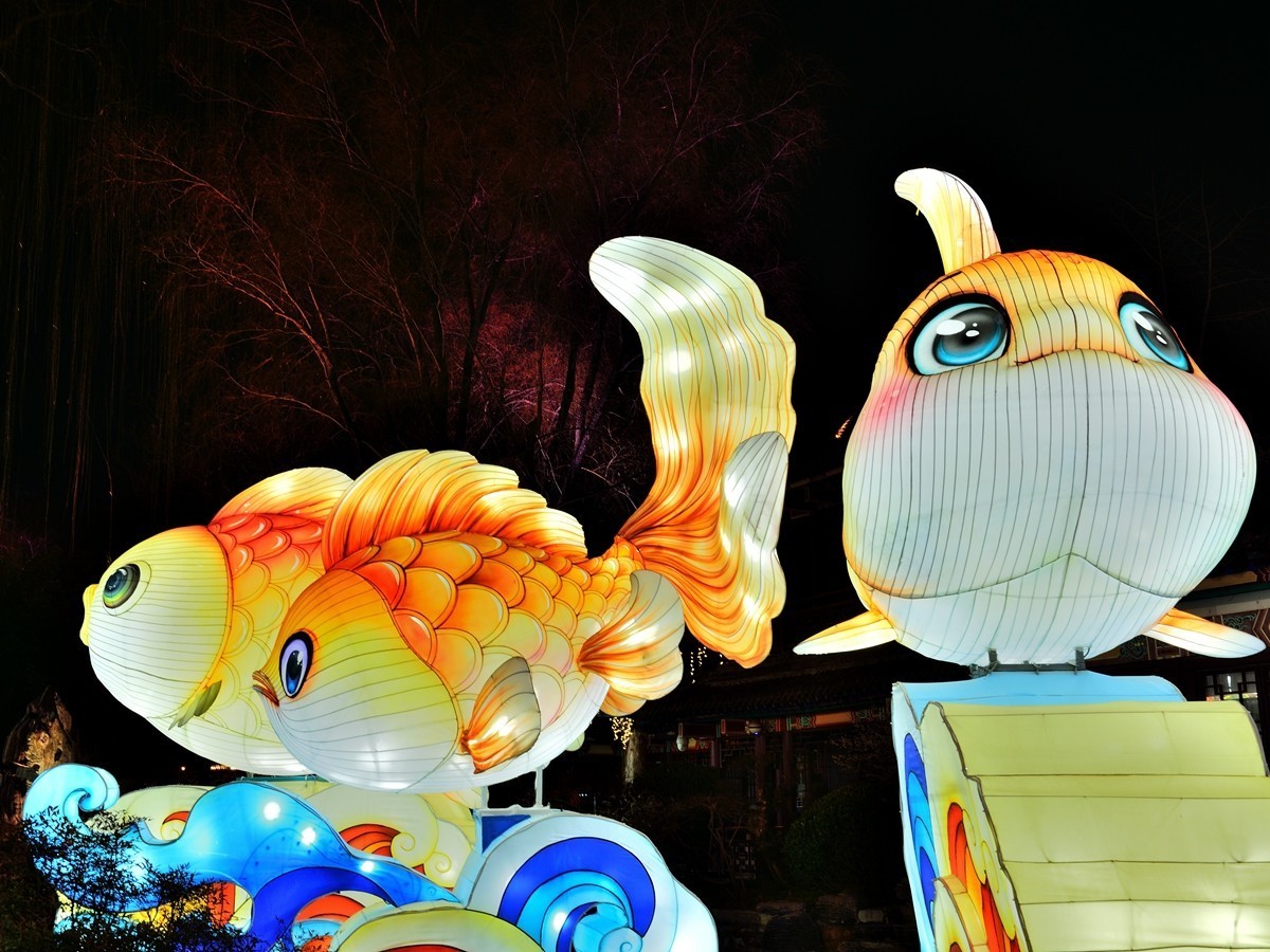 【视觉光影】泉 城 灯 会 （3）